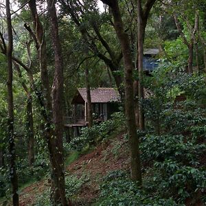Triple Room Mountain View