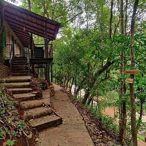 Triple Room Lake View